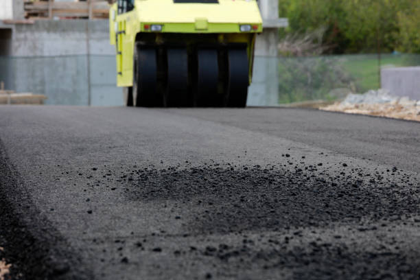 Best Driveway Pavers Near Me  in Jacinto City, TX